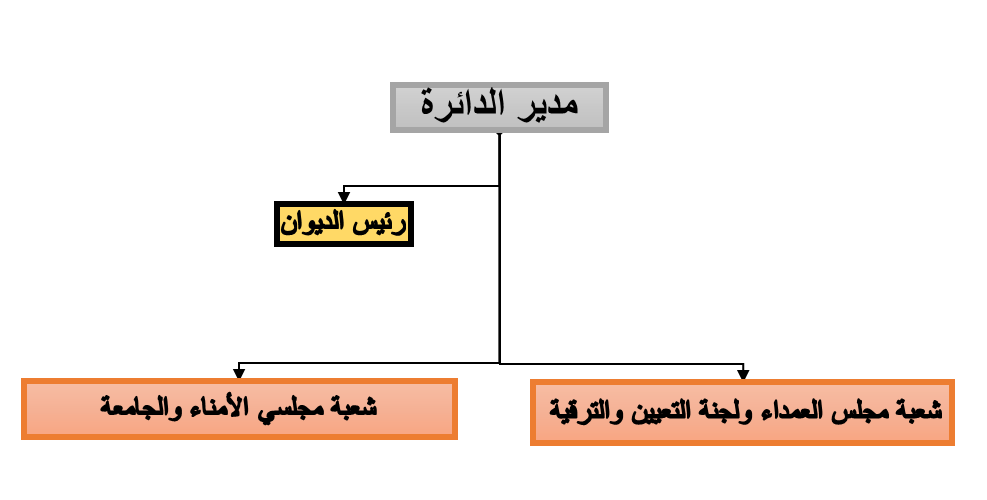الهيكل التنظيمي